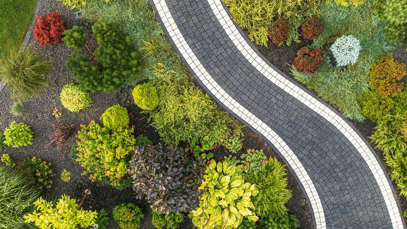 A serene garden filled with various plants and shrubs creates a colorful backdrop for a winding pathway.