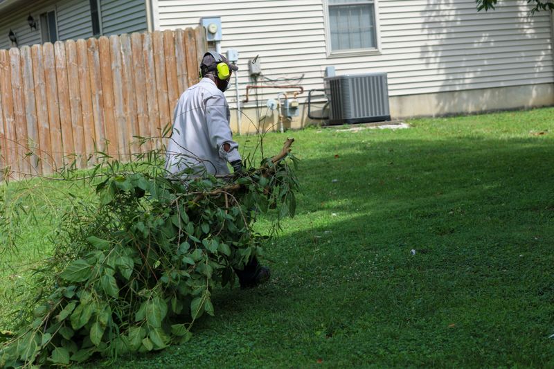 A portrait of a black man trimming a tree branch