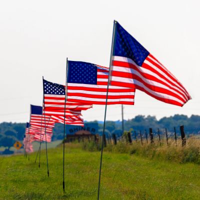 Row of American flags on poles in grassy area.