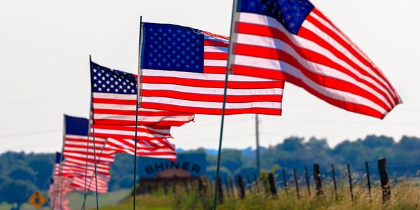A row of American flags waving along a grassy roadside.