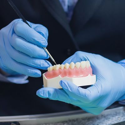 Will van Leeuwen Artistic Denture Design Affordable Dentures