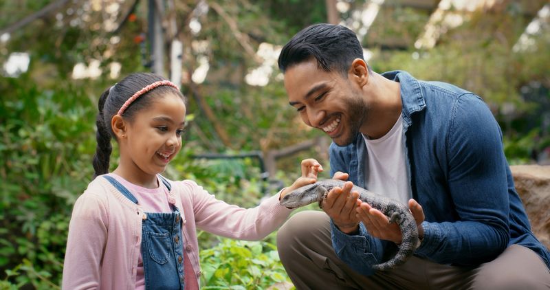 Zoo, child and man with reptile in hands for wildlife exploration, learning and nature education. Conservation, park and father with animal by daughter for ecosystem, exhibit and adventure