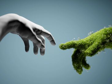 Human and moss-covered hands reaching out to each other.