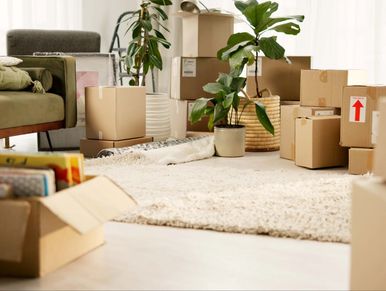 Living room filled with moving boxes and plants, ready for unpacking.
