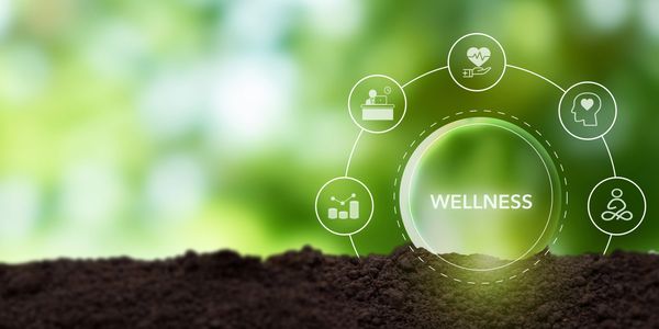 Adonis Wellness Group — The 10-Minute Reset™ digital wellness tool for nervous system regulation and