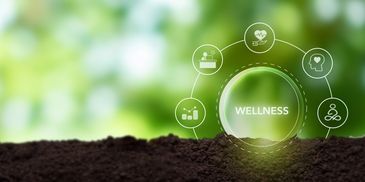 Concept of wellness with icons over soil and green blurred background.