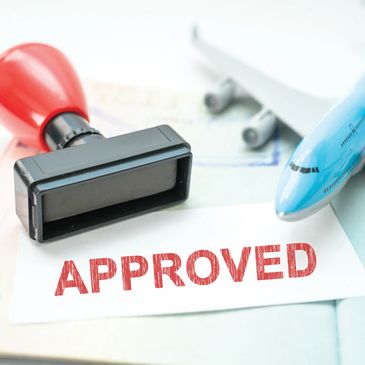 Visa and Immigration Services