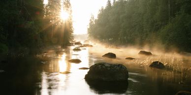 creek with rocks and sun shining through
