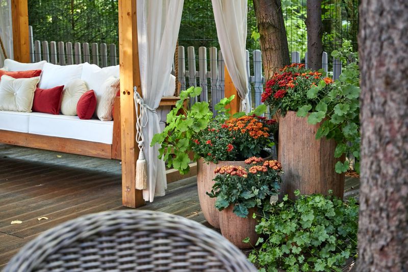 veranda with garden swing is decorated with fall decor and chrysanthemums