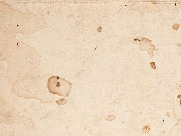 Pets urine stains and odor removal
