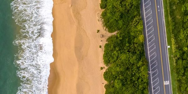 Aerial view of beach, forest, and road with parking spaces.