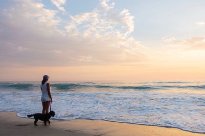 Pet euthanasia Liverpool, dog euthanasia Liverpool, cat euthanasia Liverpool, at home euthanasia 