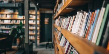 Books lined up on wooden shelves in a cozy library.