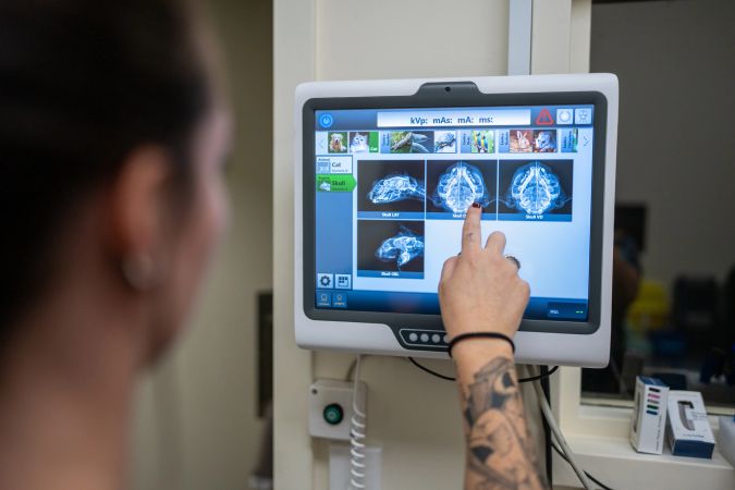 Google DeepMind Is Advancing AI in Australian Healthcare