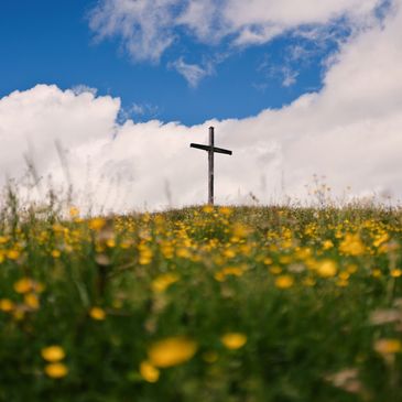 Our mission is to care for humanity by serving the needs of all people with compassion, wisdom, and 