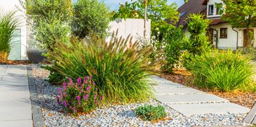 A modern garden with ornamental grasses and stone pathways.