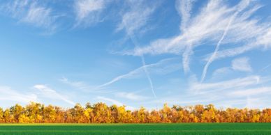A green field with colorful trees under a blue sky with wispy clouds.