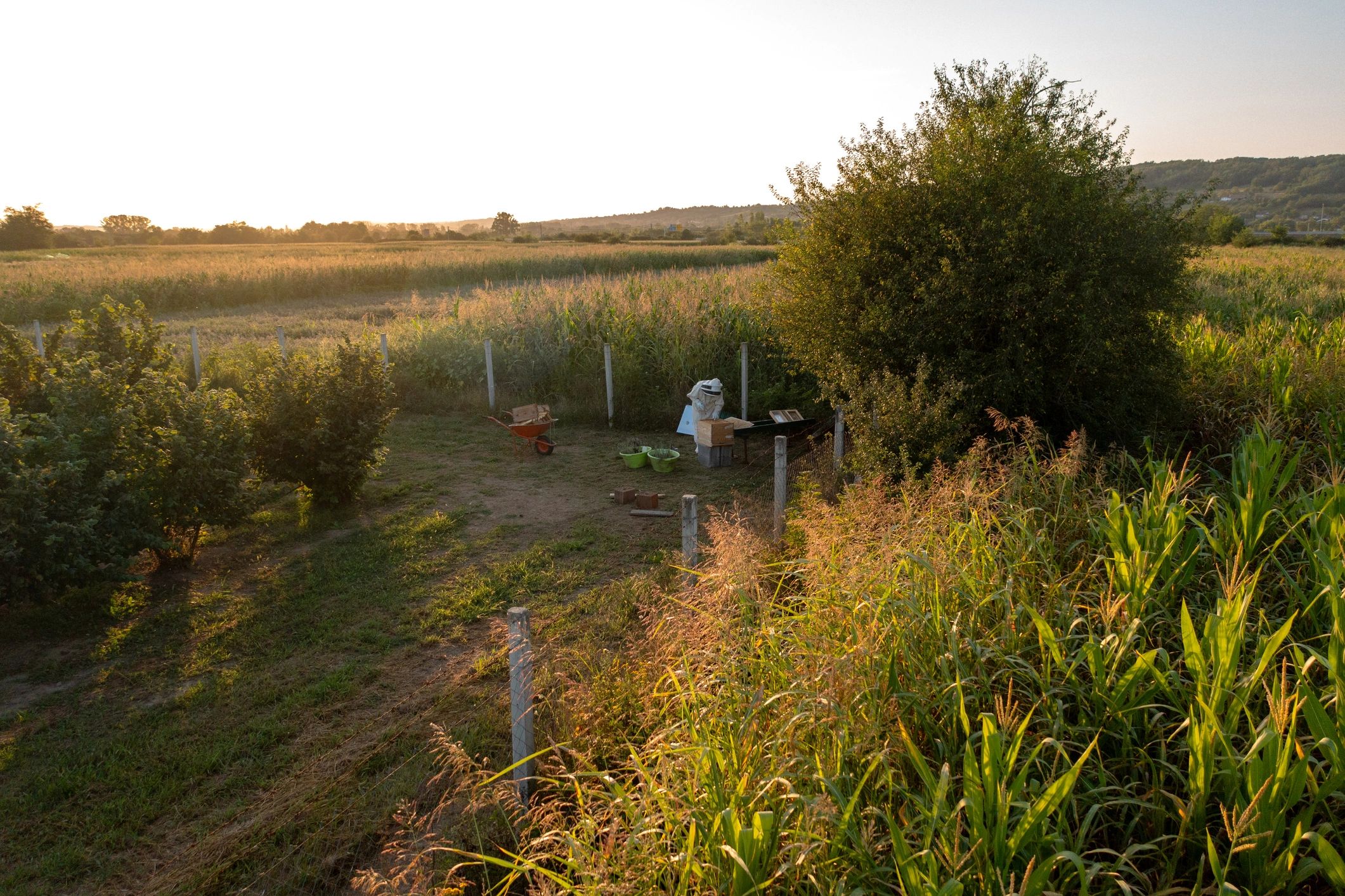 Big Springs Farm Community Association