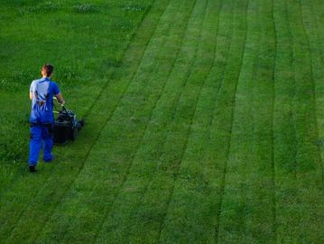 Lawn Service Bedminster Landscaping
Brush clearing Landscaping Bedminster
Grass cut Basking Ridge