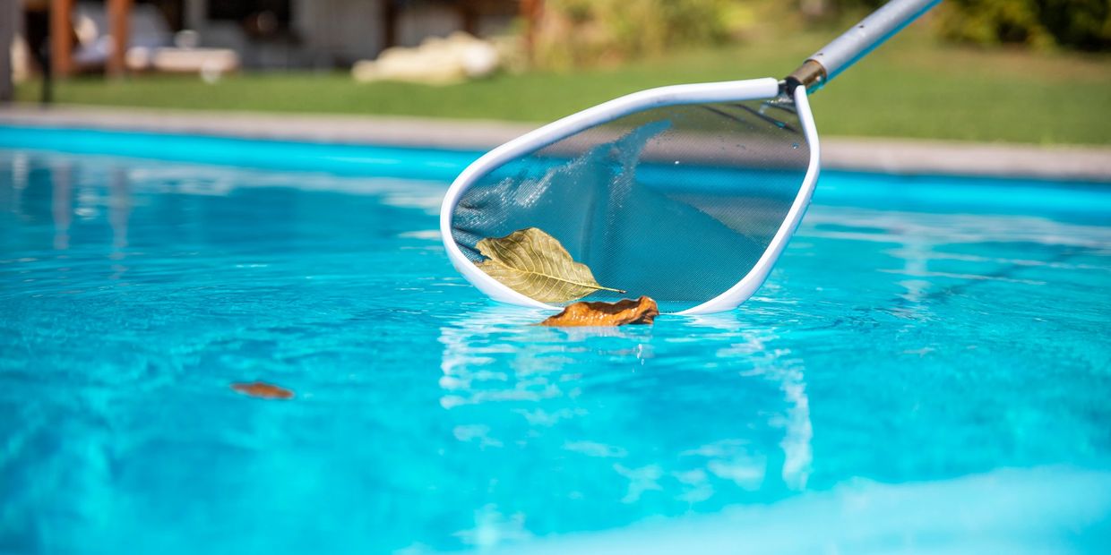 Routine weekly pool cleaning by BlueSway Pools in Zephyrhills.