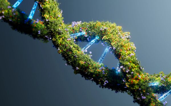 DNA helix entwined with vibrant flowers and glowing blue strands.