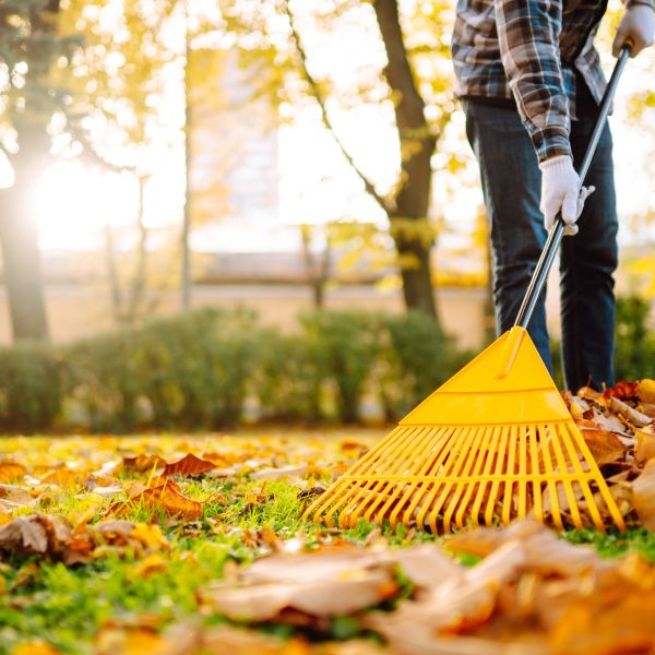 Person raking autumn leaves in a park.