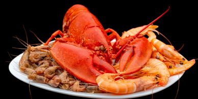 Plate of cooked seafood including lobster and shrimp.