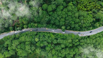 A winding road cuts through a dense green forest with light mist above.