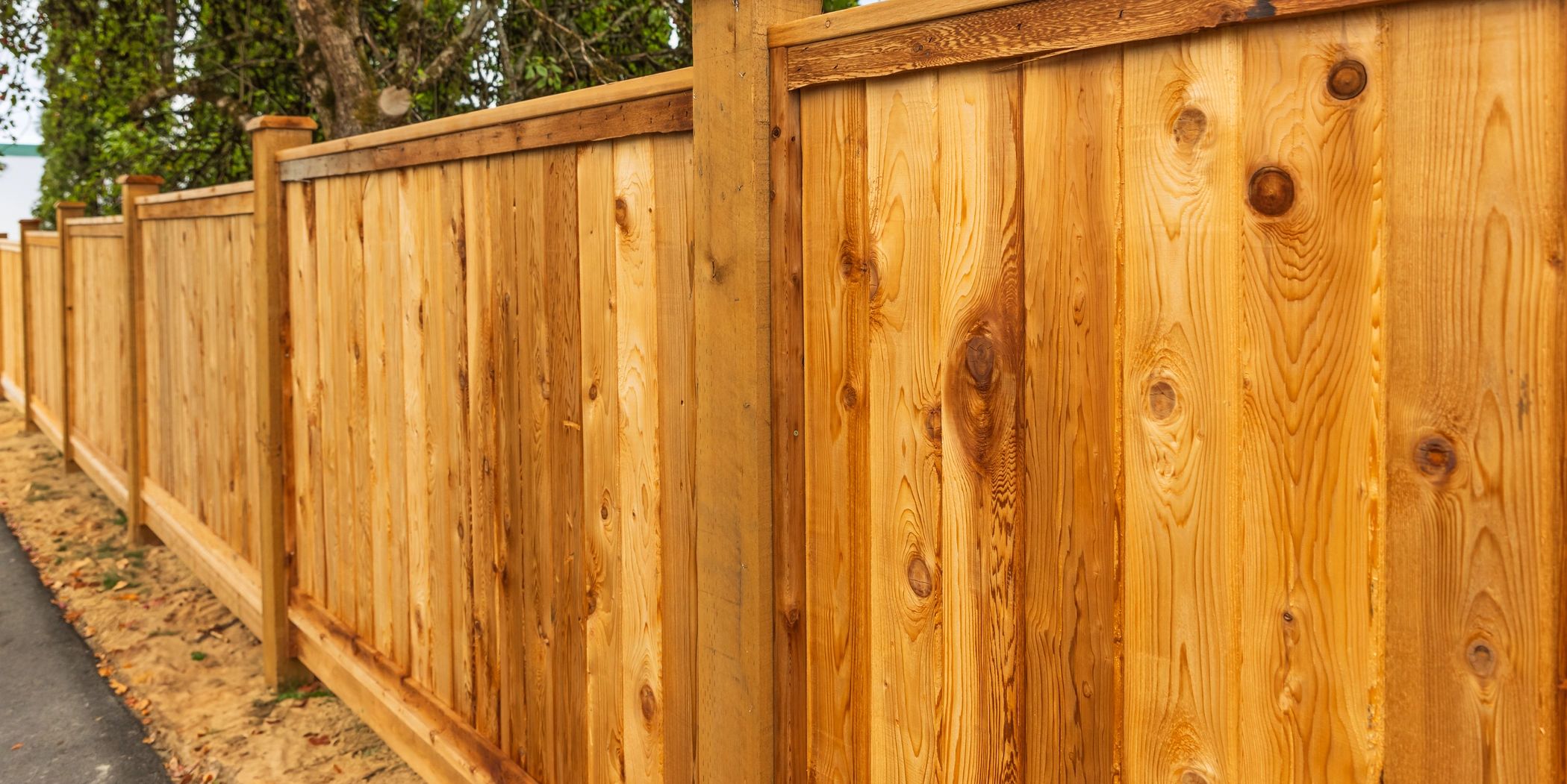 Terraform Construction Ltd photo 2