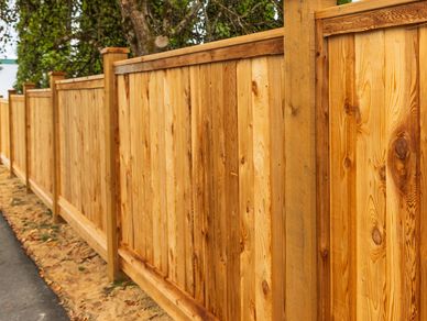 Terraform Construction Ltd photo 1