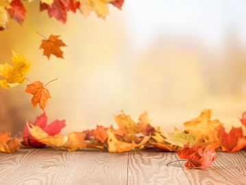 1 Day retreat to reset your nervous system, release stress, & reconnect w/ your inner calm.  