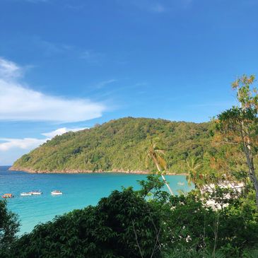 Tropical island with lush greenery and turquoise waters under a clear blue sky.