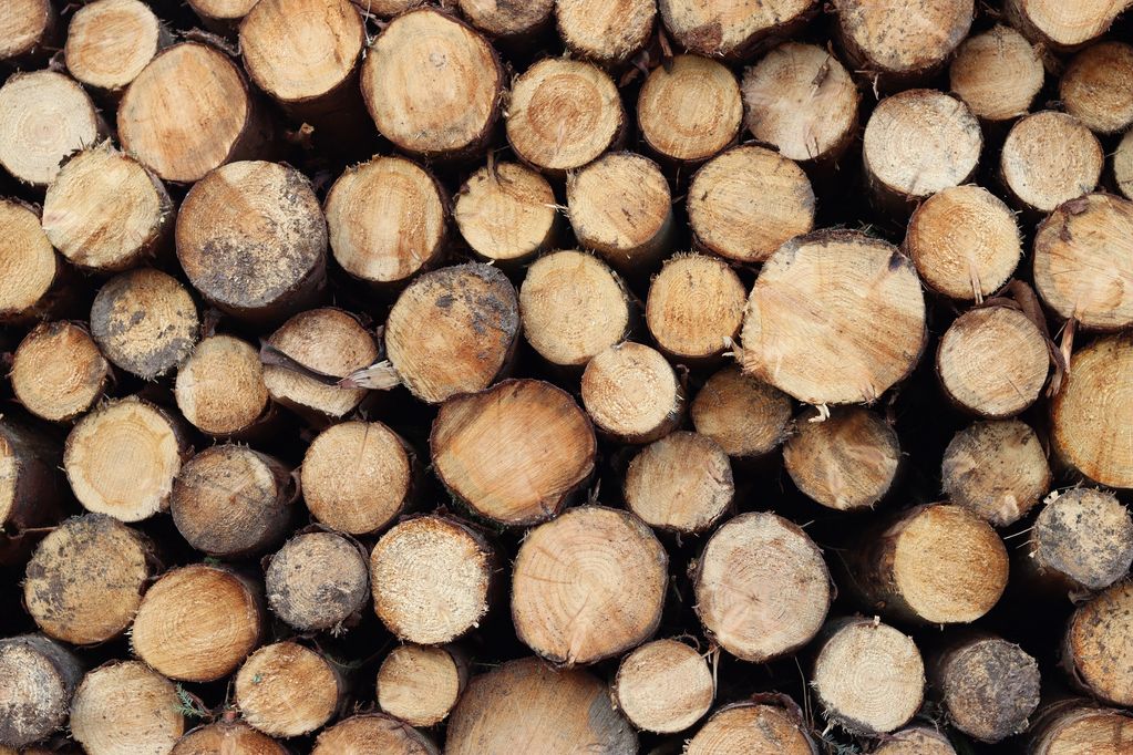 ROUND LOGS