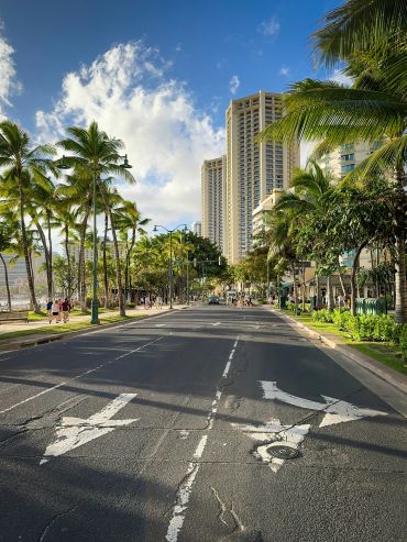 Urban street lined with palm trees and tall buildings.