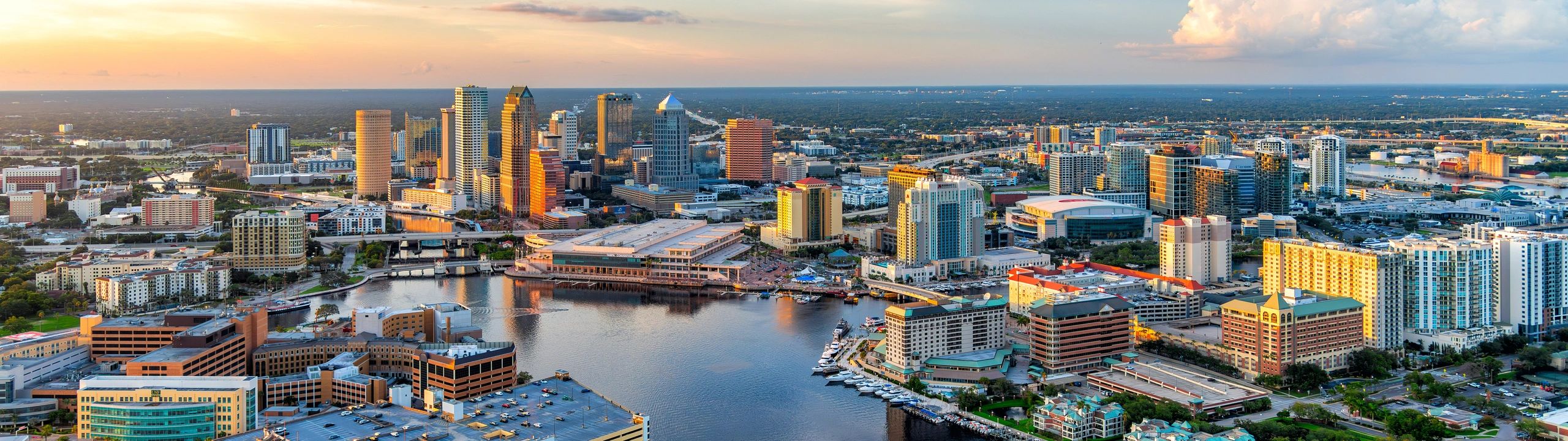 Manage IT Like a Pro in Tampa