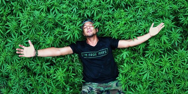 Man lying peacefully in a dense bed of green leaves with arms outstretched.