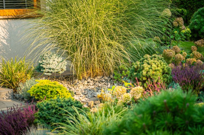 A beautifully landscaped garden displays a variety of ornamental grasses and vibrant shrubs, showcasing a harmonious blend of color and texture throughout the space.