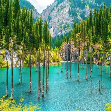 Tall trees emerging from a turquoise lake surrounded by mountains, kandy lake almaty kazakhstan