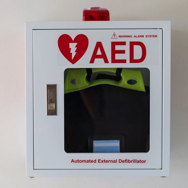 Automated External Defibrillator (AED) equipment and pads, inspections, training services 