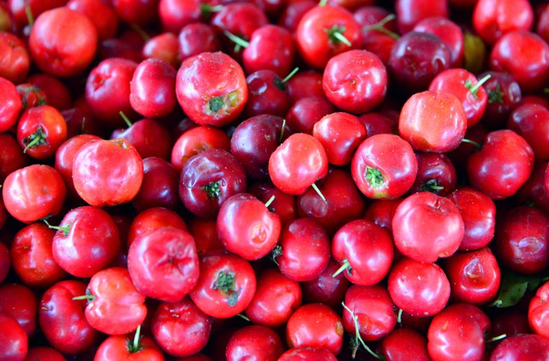 Recife, Pernambuco, Brazil: Acerola (Malpighia emarginata) is a tropical fruit-bearing shrub or small tree native to Central and South America, the Caribbean, and parts of southern Mexico. Also known as Barbados cherry or West Indian cherry, acerola is prized for its bright red, juicy, cherry-like fruit, which is exceptionally rich in vitamin C - containing significantly more than oranges. The fruit also provides other nutrients like vitamin A, fiber, and antioxidants. Due to its nutritional benefits, acerola is widely used in dietary supplements, juices, and natural health products, supporting immune health and overall well-being - São José Market