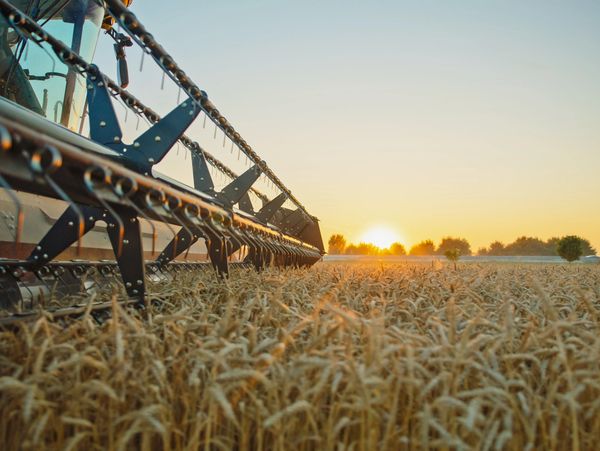 Una trilladora en nuestro campo