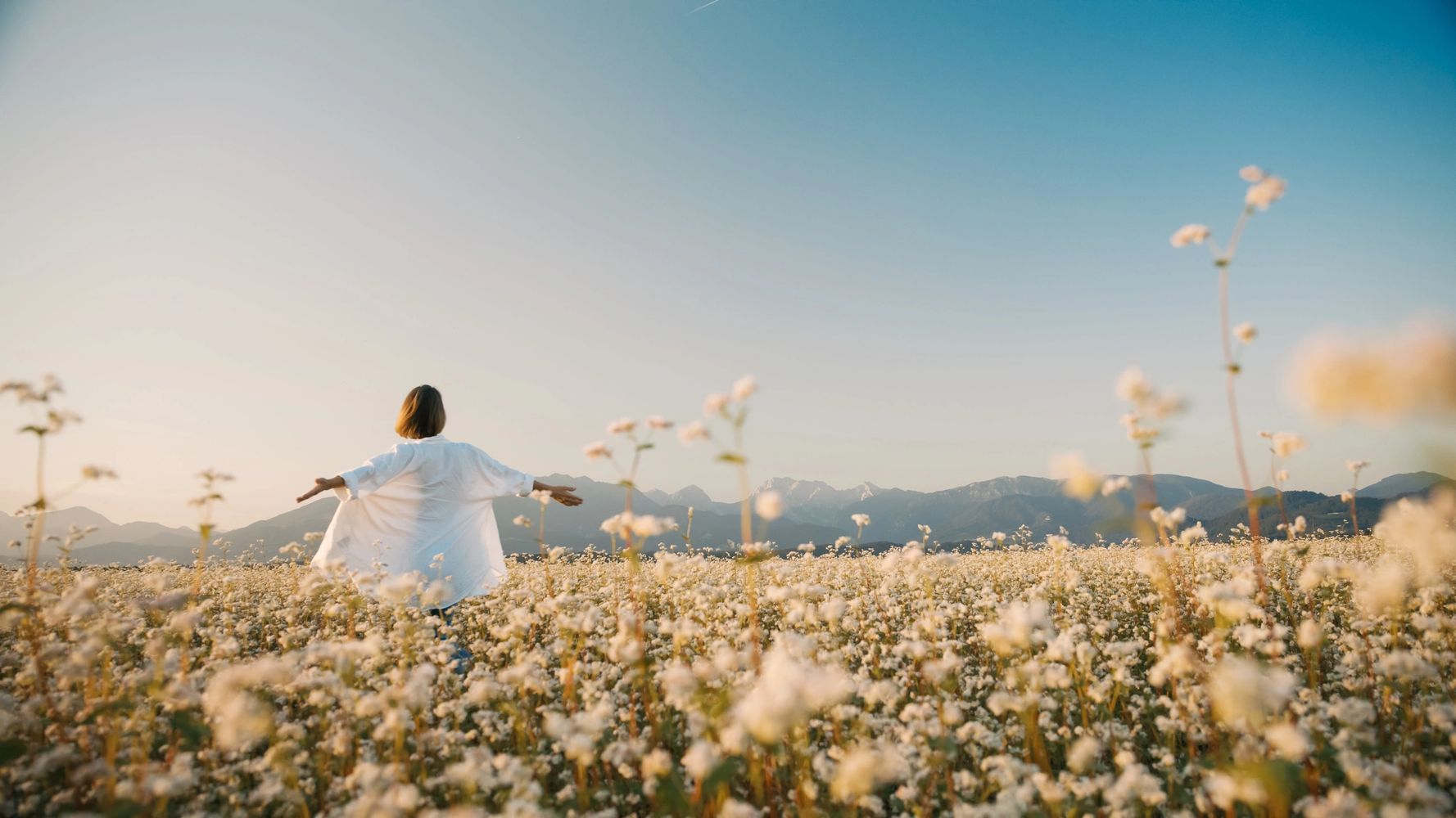 Person enjoying a vast field of white flowers with mountains in the background.
