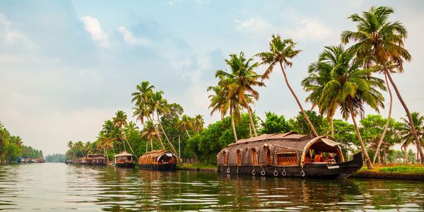 Houseboats on a calm river with palm trees.