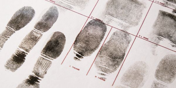 Close-up of inked fingerprints on a forensic identification sheet.