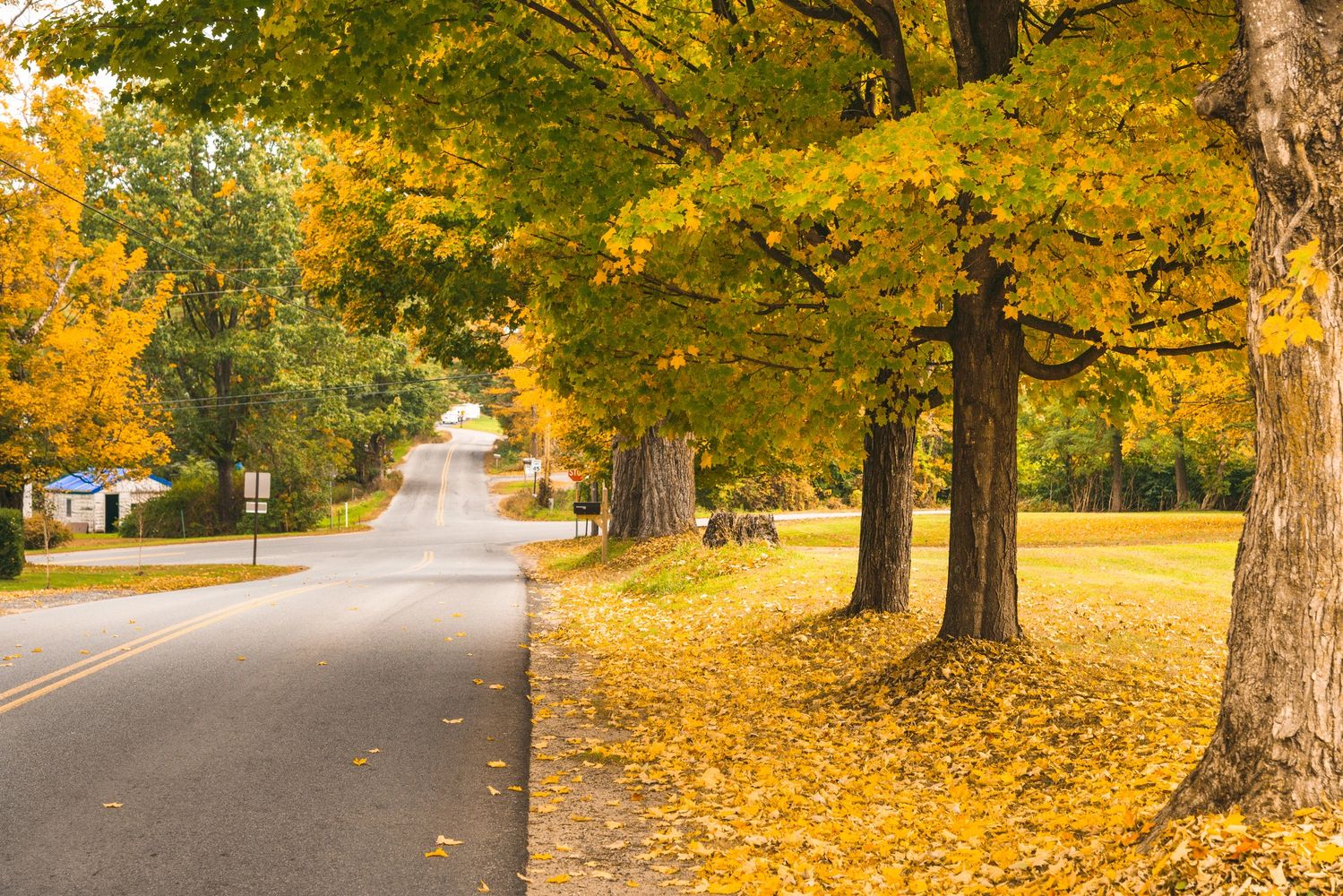 Aging gracefully & lifestyle tips for the road ahead