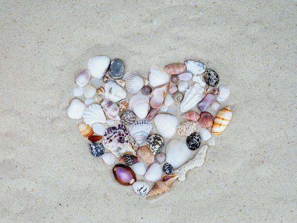 Seashells arranged in a heart shape on sand.