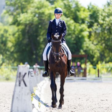 Rider on a horse in an equestrian competition.