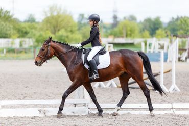 Private and semi private lessons only no large group lessons