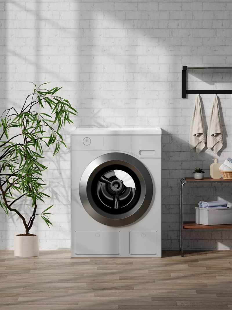 A stylish 3D interior design featuring a modern washing machine, minimalist decor, green plant, and wooden shelf in a bright laundry room.