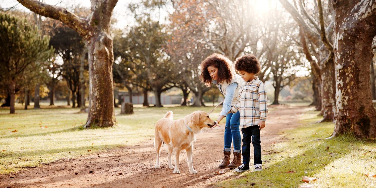A woman and child feed a golden retriever on a sunny park path.